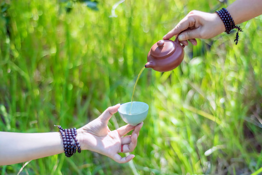 紫砂壶口杯倒茶水