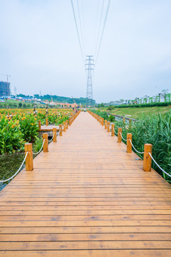 南宁那考河湿地公园木板路