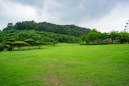 城市阳光草地草坪绿树林背景素材