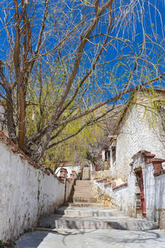 帕邦喀寺