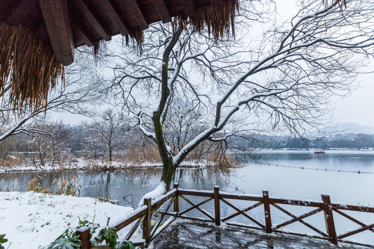 西湖雪景