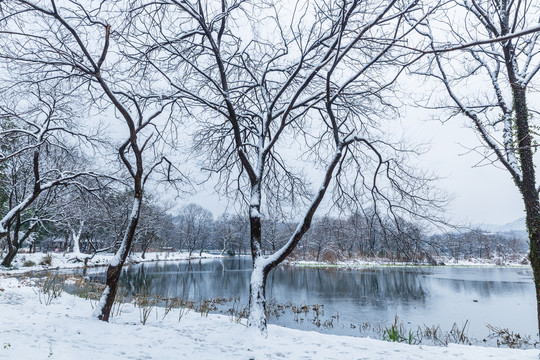 西湖雪景