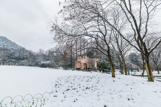 杭州雪景