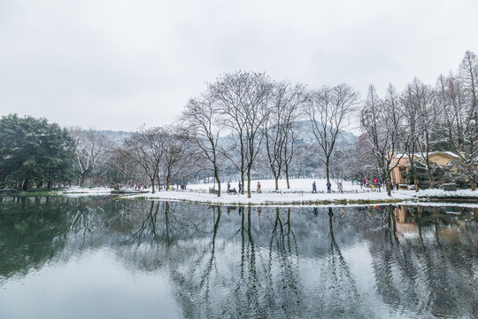 杭州雪景