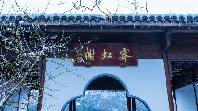 杭州雪景