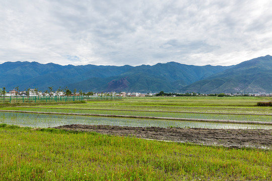 大理洱海