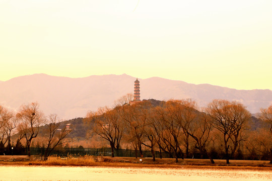 玉峰塔