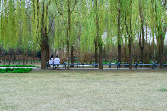 长春公园