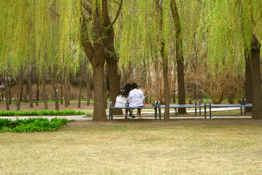 长春公园