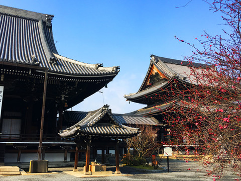 本山兴正寺