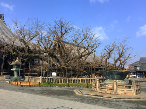 本山兴正寺