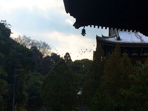 京都古寺