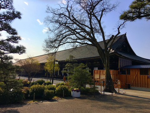 京都古寺