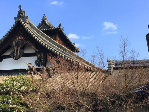 京都古寺