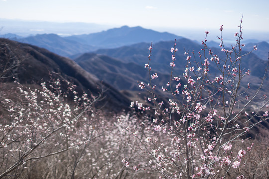 箭扣长城