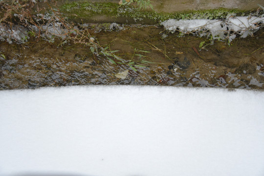 雪地边的小溪