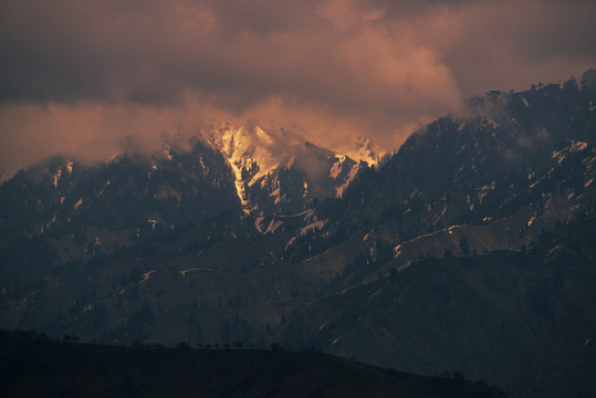 金山