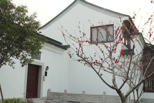 中式别墅侧门