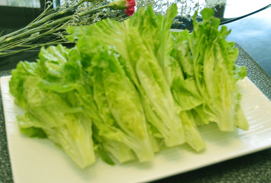 蔬菜