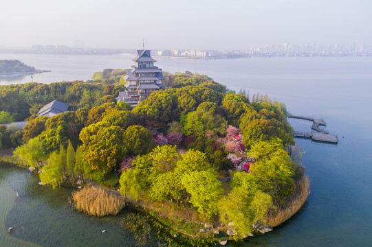 金鸡湖桃花岛