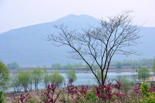 湖边庄园