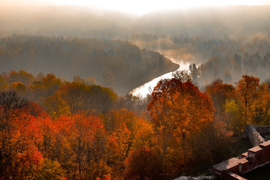 拉脱维亚戈雅国家森林公园秋色