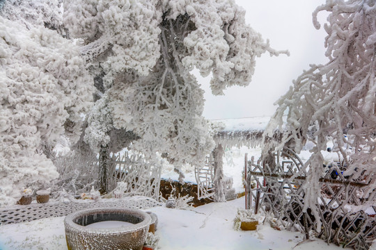 庐山雪景大月山