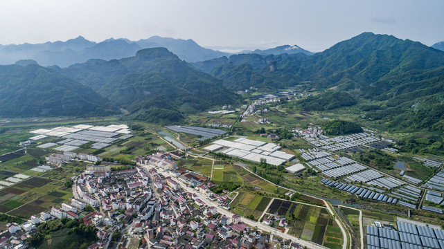 寿仙谷药业种植基地