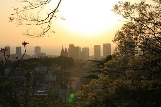 城市