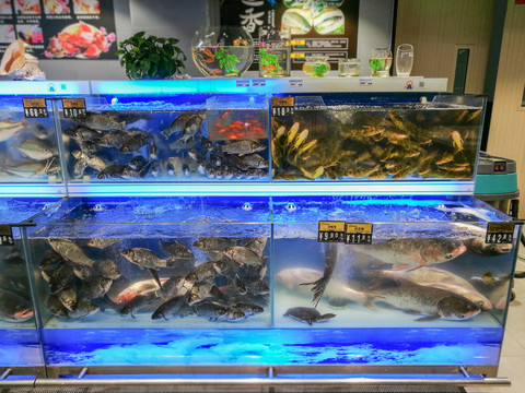 超市活鱼类