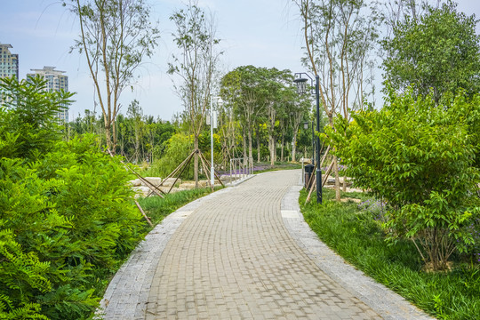 天津梅江居住区高清大图