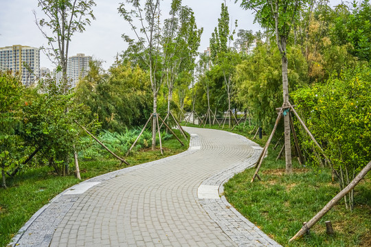 天津梅江居住区高清大图