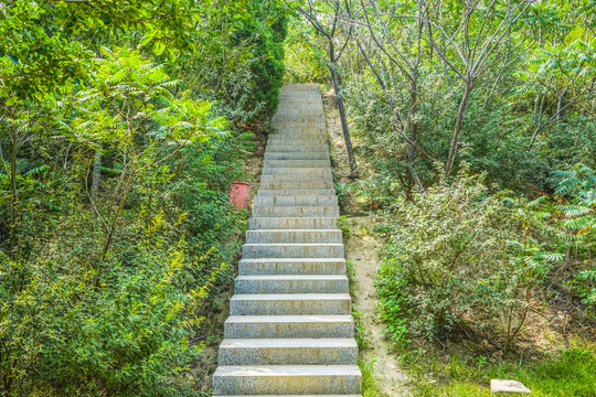 天津南翠屏公园高清大图