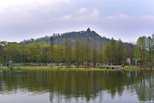 上海辰山植物园风景