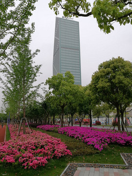 上海城郊新城美景