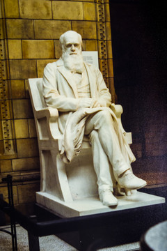达尔文塑像