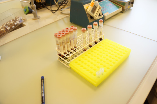 欧洲生物科技实验室