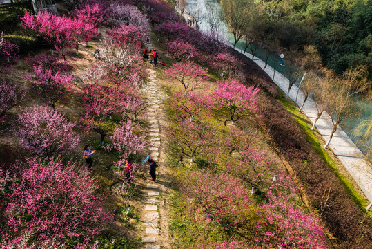 梅花匡河