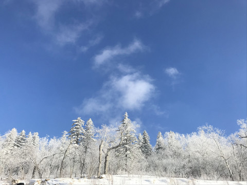 大秃子山