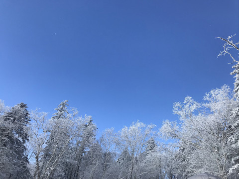 大秃子山