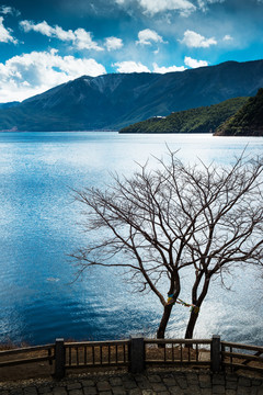 湖水湖面