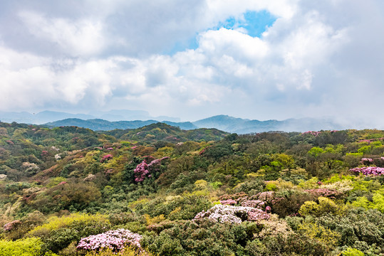 重庆金佛山自然风光