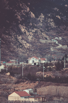 樱花崂山