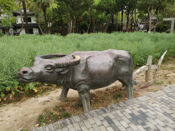 农村生活场景模拟