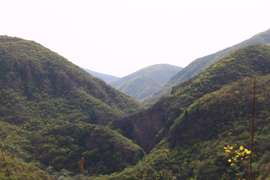 青山