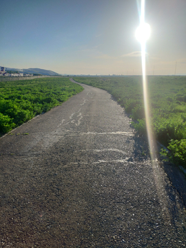 小路