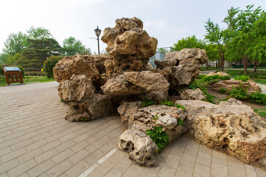 北京陶然亭公园假山石