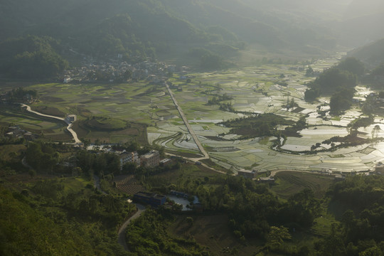 黑尔水田风光