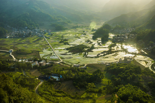 黑尔水田风光