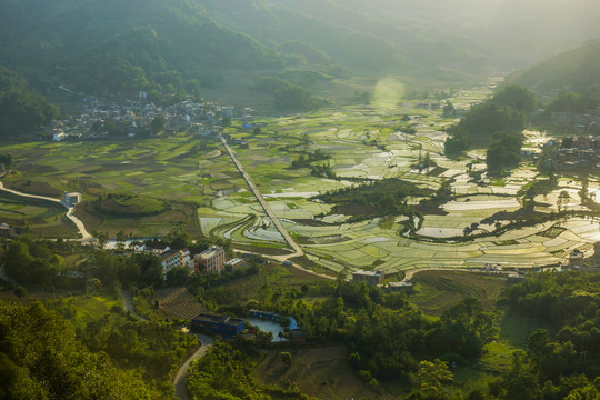 黑尔水田风光